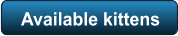 Available kittens